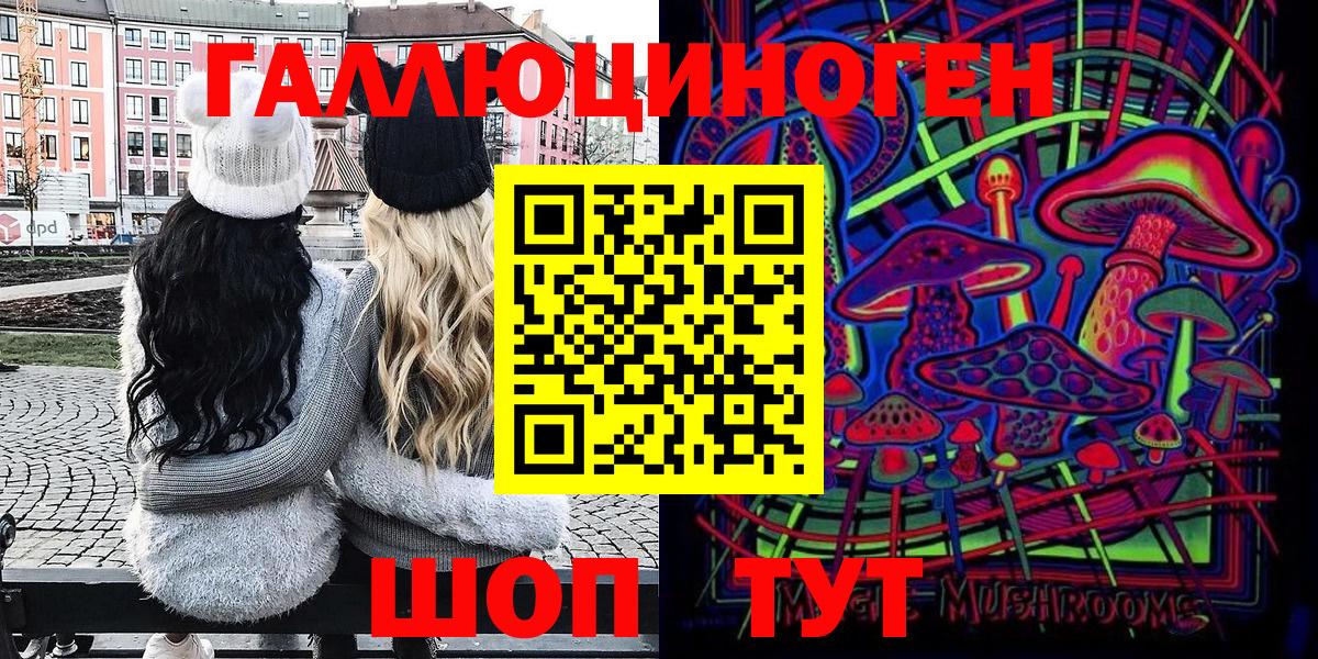 Псилоцибиновые грибы Cubensis Керчь