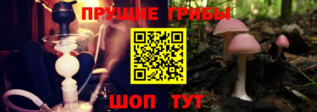 Псилоцибиновые грибы MAGIC MUSHROOMS  Вход с VPN  Галлюциногенные грибы MAGIC MUSHROOMS  Керчь 